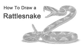 How to Draw a Snake Diamondback Rattlesnake [upl. by Clymer]