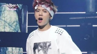 EXO  Wolf 20130629 Music Bank w Eng Lyrics [upl. by Sigmund]