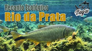 Parque ecológico do Rio da Prata [upl. by Tharp]