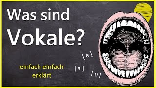 Was sind Vokale  Grundwissen Phonetik amp Phonologie [upl. by Anomahs]