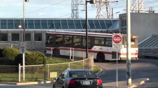 TTC  Buses at Kipling Station HD Test Video 2 [upl. by Edik]