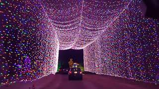 Lights Under Louisville Christmas Lights display at the Louisville Ky MEGA Cavern [upl. by Ahsocin364]