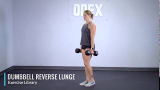 Dumbbell Reverse Lunge [upl. by Chrisman]