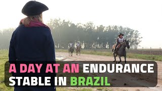 A Day at an Endurance Stable in Brazil  Horse Vlog 2020 Horse Riding in Brazil [upl. by Becht]