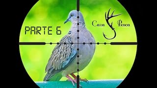 CaZa De Palomas Y Perdices Con Aire comprimido Parte 6 [upl. by Akemad]