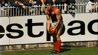 1993 VSFL Grand Final  All Melbourne Goals  Melbourne v North Melbourne  MCG [upl. by Rafe]