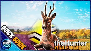 Roe deer Guide for Hirschfelden  theHunter Call of the Wild [upl. by Murial]