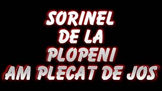 SORINEL DE LA PLOPENI AM PLECAT DE JOS 2014 [upl. by Philis232]