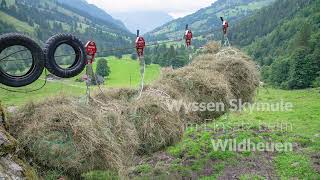 Wyssen Skymule Einsatz beim Wildheuen [upl. by June]