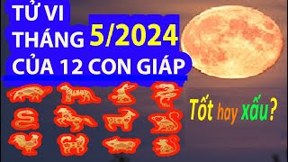 Tử vi 12 con giáp tháng 52024 diễn tiến tốt hay xấu [upl. by Laidlaw]