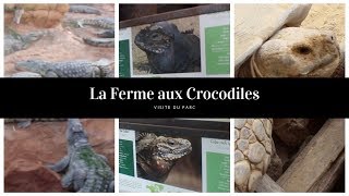 Visite de la FERME aux CROCODILES [upl. by Metzger]