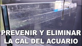 Cómo QUITAR la CAL del ACUARIO y Prevención 100 efectiva [upl. by Ime458]