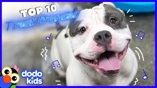 Dogs DANCE For Treats Whos The Best Dancer  Dodo Kids [upl. by Runkel]