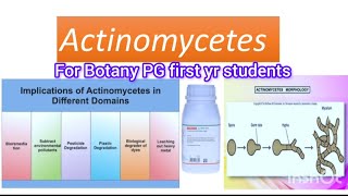 Actinomycetes For UG and PG Botany amp Microbiology students [upl. by Bolen]