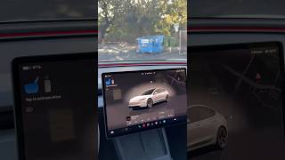 Tesla Model 3 Performance Audio Easter Egg 🥚 tesla shorts [upl. by Ynaffyt]