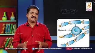 KITE VICTERS STD 10 Biology Class 03 First Bellഫസ്റ്റ് ബെല്‍ [upl. by Aliekat]