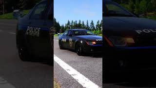 Police Chase Compilation 16  BeamNG Drive shorts [upl. by Brand]