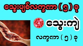 သွေးပျစ်လက္ခဏာ  ၅  ခု သွေးကျဲ လက္ခဏာ  ၅  ခုAnaemia and polycythemia [upl. by Hara]