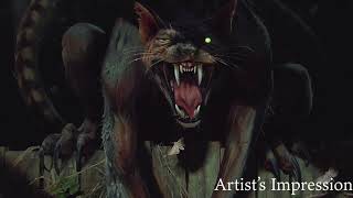 The Case of the Werecat  A Promotional Video for Werecat [upl. by Tibold]