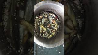 Sweet Water Fish  Shingtya  Chivni  Chimni Special Recipe in Maharashtra  Fish Recipe [upl. by Habas]