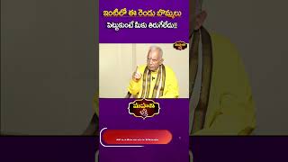 ఇంటిలో ఈ రెండు బొమ్మలు పెట్టుకుంటే మీకు తిరుగేలేదు   TKV Raghavan [upl. by Merwyn]