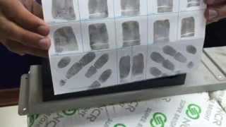 How to Roll Ink Fingerprints [upl. by Alleira272]