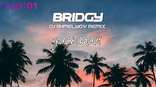 Bridgy  Засыпай  DJ Shmelyov Remix  Official Audio  2024 [upl. by Yentiw]