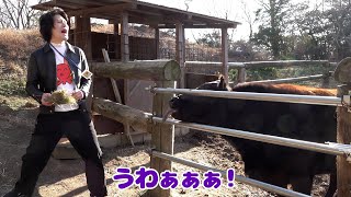 【幻のお蔵入り岡山旅行1】黒毛和牛vs粗品ふれあい動物園【音声復活】 [upl. by Beauvais913]