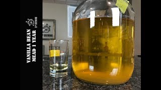 Vanilla Bean Mead US05 1 Year Tasting [upl. by Essila]