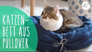 Katzenbett aus Pullover selber machen DIY Upcycling Katzenkissen [upl. by Eleirbag]