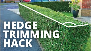 Hedge trimming hack making it quick and easy to cut your hedges [upl. by Robi]