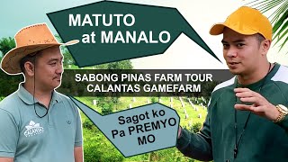 SABONG PINAS FARM TOUR CALANTAS GAMEFARM [upl. by Aissert]