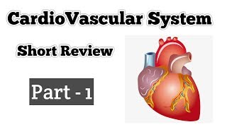 CardioVascular Intro  Part  1  CVS Short Review [upl. by Annahsor142]