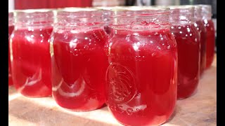 308 How to Make Plum Jelly [upl. by Omor]