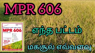 MPR 606 paddy in tamil நெல் எந்த பட்டத்திற்கு சிறந்தது [upl. by Ahsoik]