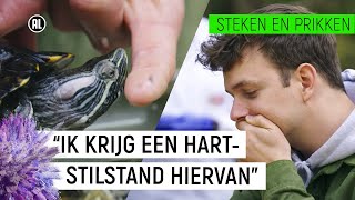 SCHILDPAD BIJT JURRE  Steken amp Prikken 10  NPO Zapp [upl. by Andersen]