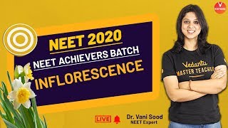 Inflorescence  Class 11 NEET Biology  NEET 2020 Achievers  Dr Vani Maam  Vedantu Biotonic [upl. by Essirehs297]