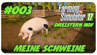 Meine SCHWEINE 003  Dreistern Hof Plus [upl. by Ayatnahs]