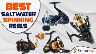 7 Best Saltwater Spinning Reels [upl. by Hindu]