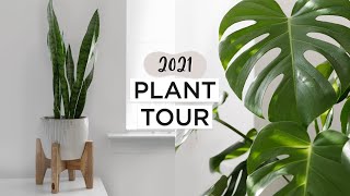 PLANT TOUR 🌱  Indoor Houseplant Collection 2021 [upl. by Alastair]