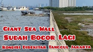 Kondisi Sekitar Tanggul Jakarta  Giant Sea Wall [upl. by Most]