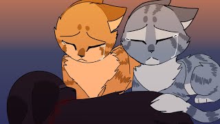 “Do you guys think we’ll always be together like this”  Hollyleaf Jayfeather amp Lionblaze PMV [upl. by Edniya]