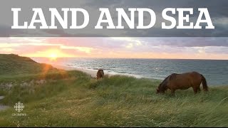 Land amp Sea Sable Island [upl. by Bradney]