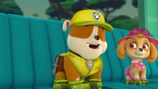 PAW Patrol Season 3 Episode 21 PARROTING PUPS 03 [upl. by Alleen282]