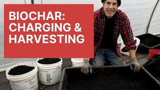 Biochar Charging amp Harvesting It [upl. by Bethel]