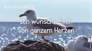 🎩🍀 Frohes neues Jahr 🥂🍾 Guten Rutsch 🏝️ Neujahrswünsche 🍾 Happy New Year Silvester Grußvideo [upl. by Haerdna757]