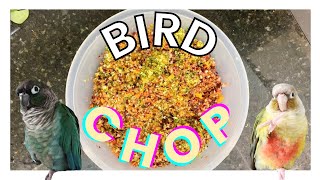 HOW TO MAKE BIRD CHOP  Making My Birds Chop [upl. by Drogin]