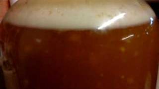 Active ferment in glass carboy [upl. by Timrek]