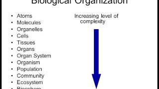 Biology 1010 Lecture 1 Intro to Biology [upl. by Kuhn]