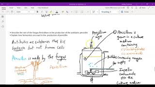 Penicillin production [upl. by Lambart]